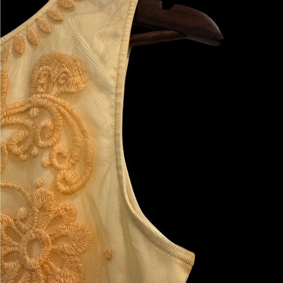 Sundance Sheer Embroidered Floral Dress Lined Buttercup Pale Yellow Sz 2 - Picture 7 of 9